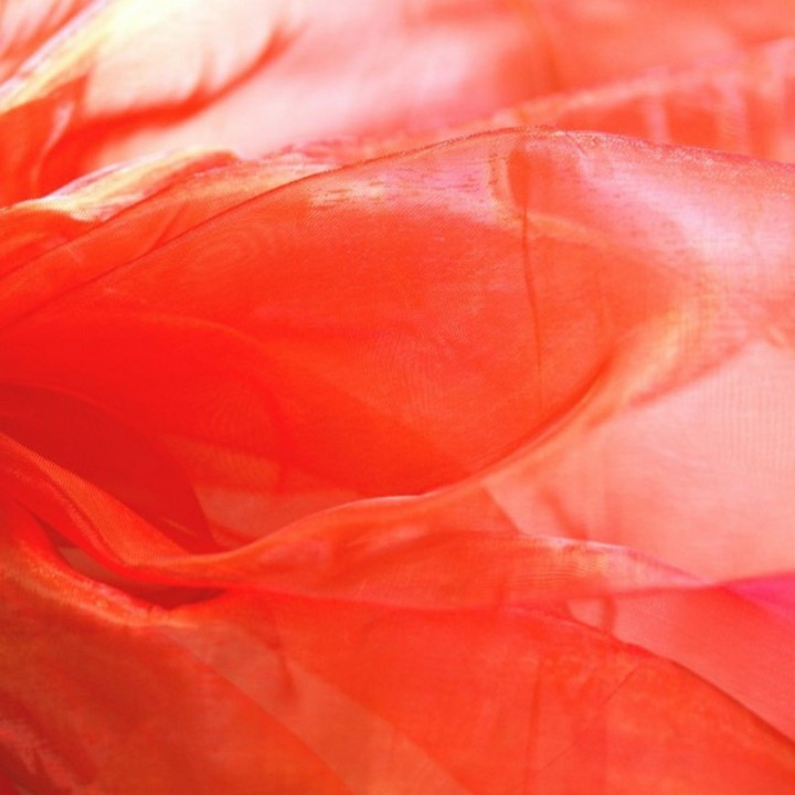 Organza orange