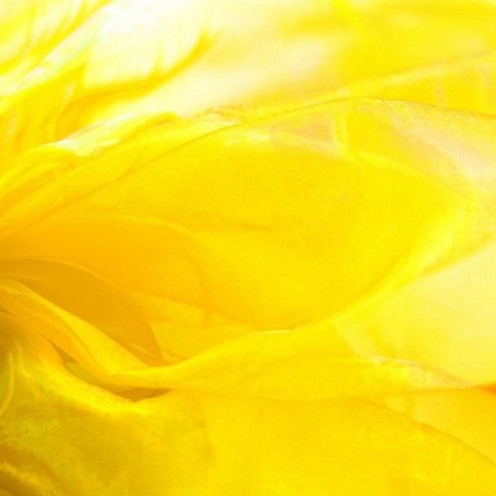 Organza  jaune