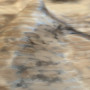 Tissu léopard argenté